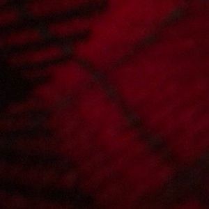 Meet your Posher, Amyamy